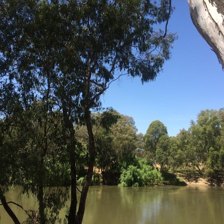 Готель Wagga Wagga Beach Caravan Park Номер фото